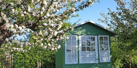 Ballerup har over 3.000 kolonihavehuse Foto: Colourbox